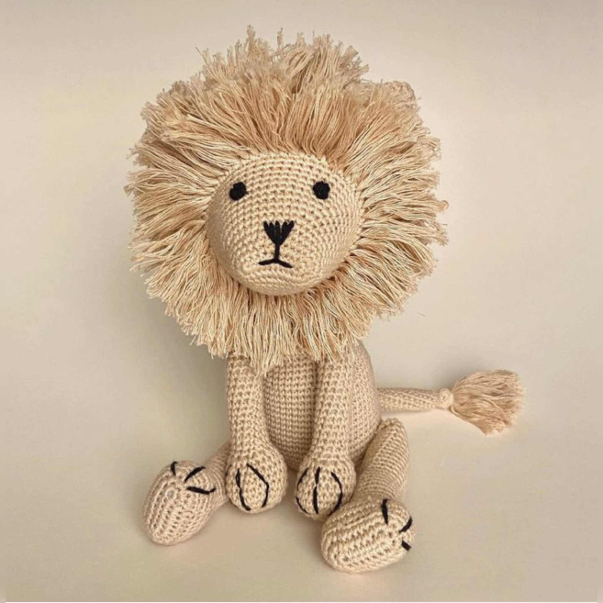 Loin